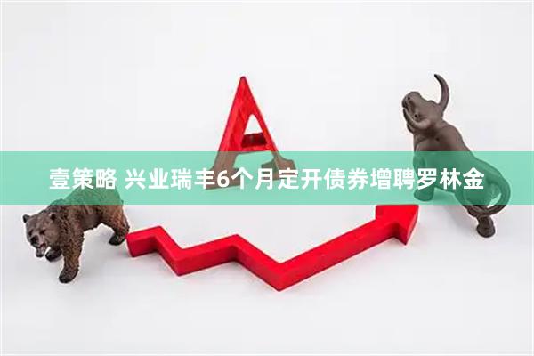 壹策略 兴业瑞丰6个月定开债券增聘罗林金